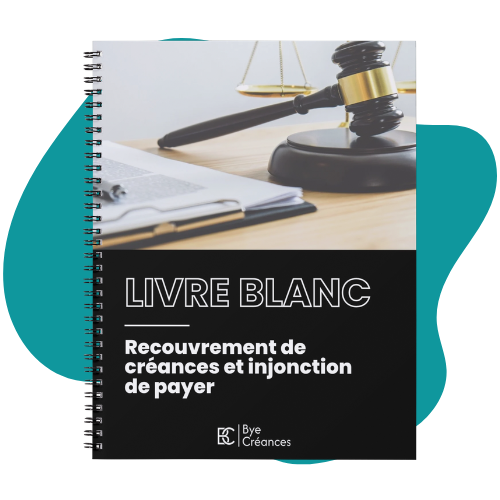 livre blanc injonction de payer